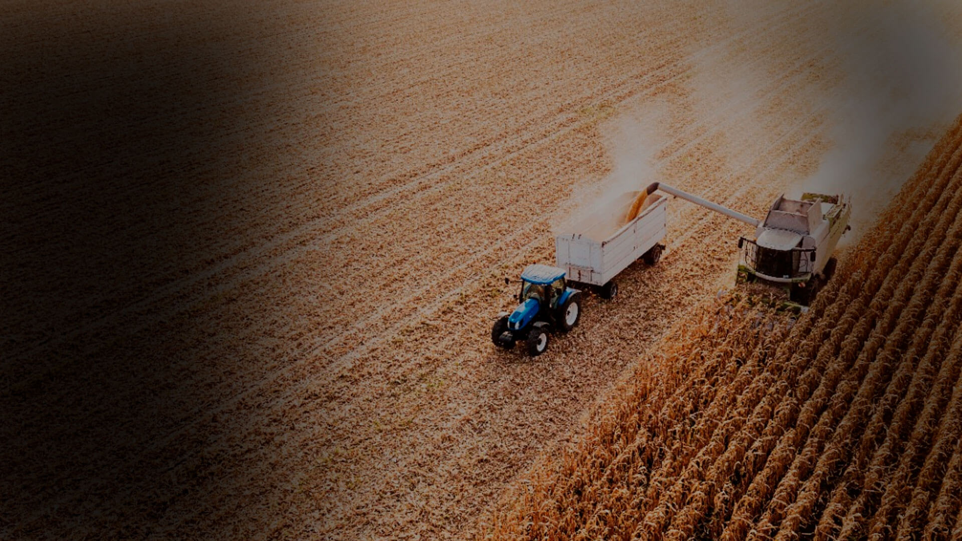 Imagen de agricultura